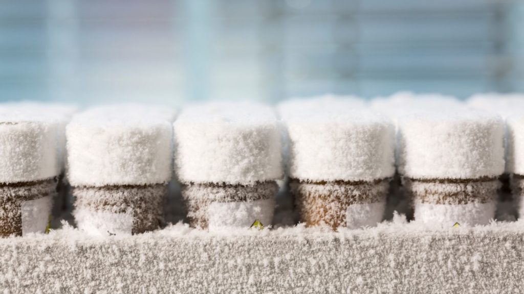 Gut Health PR specialists